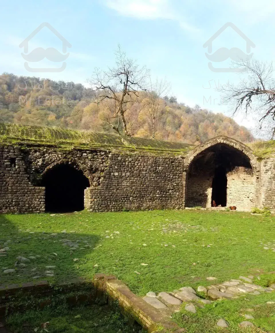 اجاره شبانه ویلای جنگلی یک خوابه