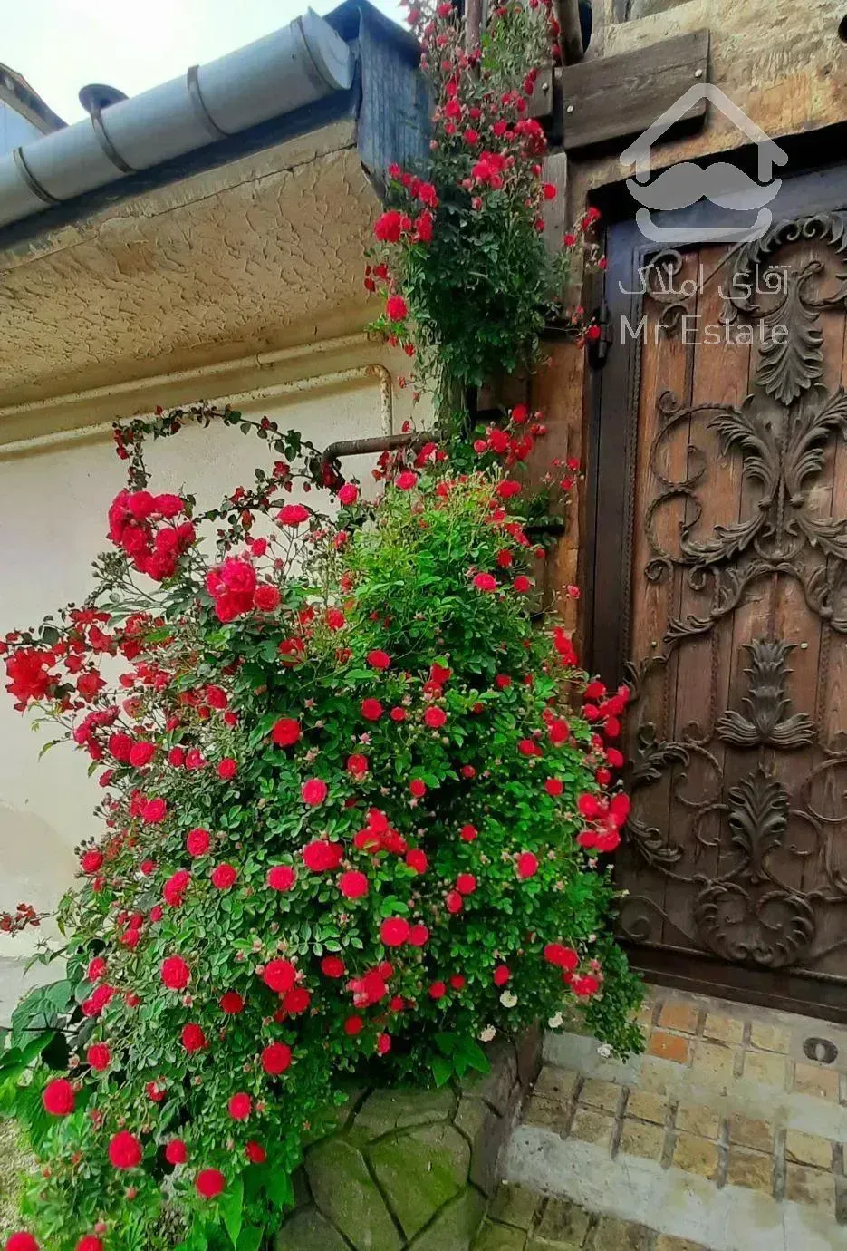 ویلا چوبی جنگلی با آبشار داخل پذیرایی