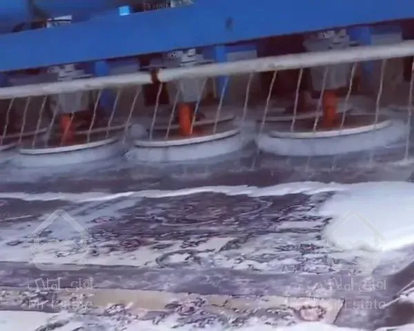 قالیشویی نفیس* شستشوی مبل موکت قالی فرش