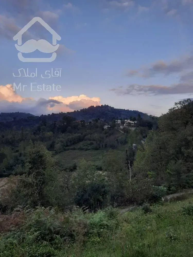 فروش زمین با ویوی عالی و قیمت باورنکردنی