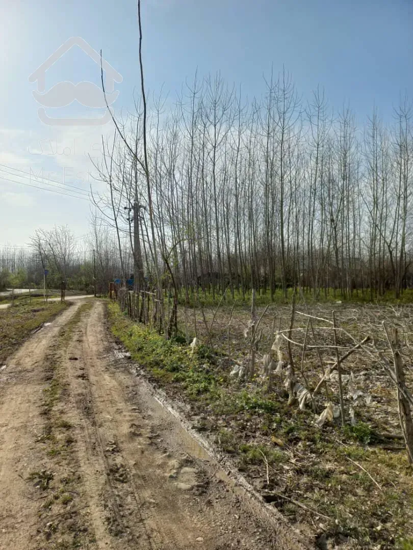 زمین برای ساخت ویلا