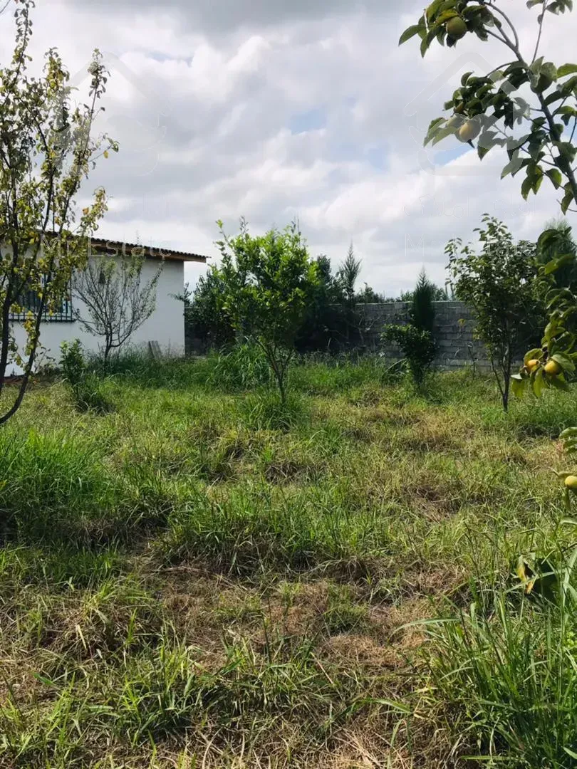 فروش باغ 300 متري منطقه دنج و غير بومي