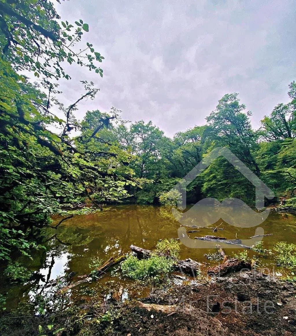 اجاره سوئیت سنتی و ویلا جنگلی زیبا با پارکینگ