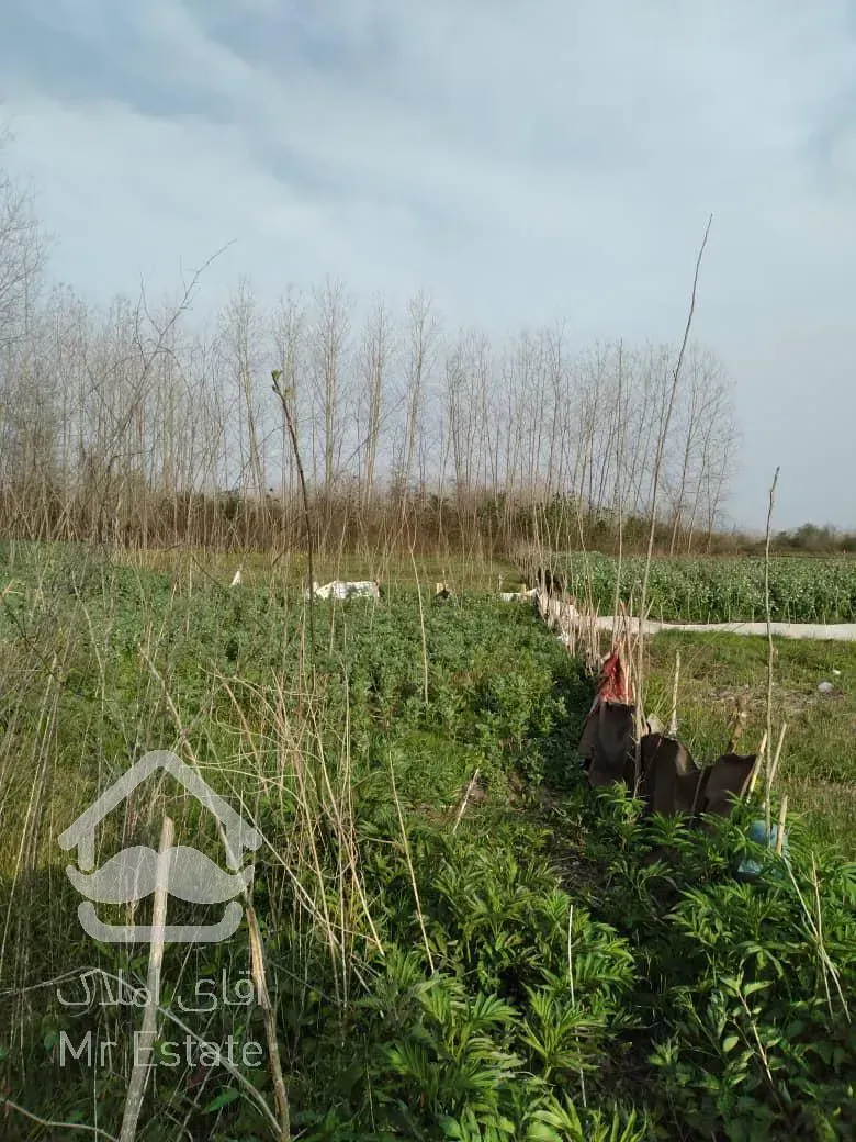 باغ طبیعت خوش اب و هوا