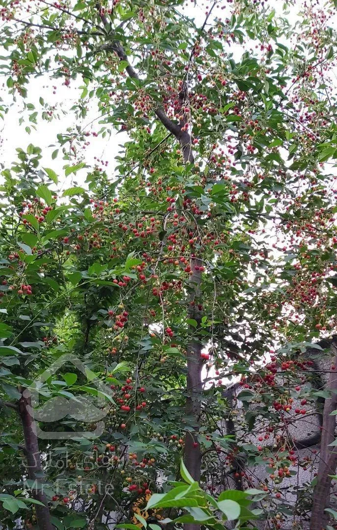 باغ ویلا قلعه فرامرزیه خوشنام