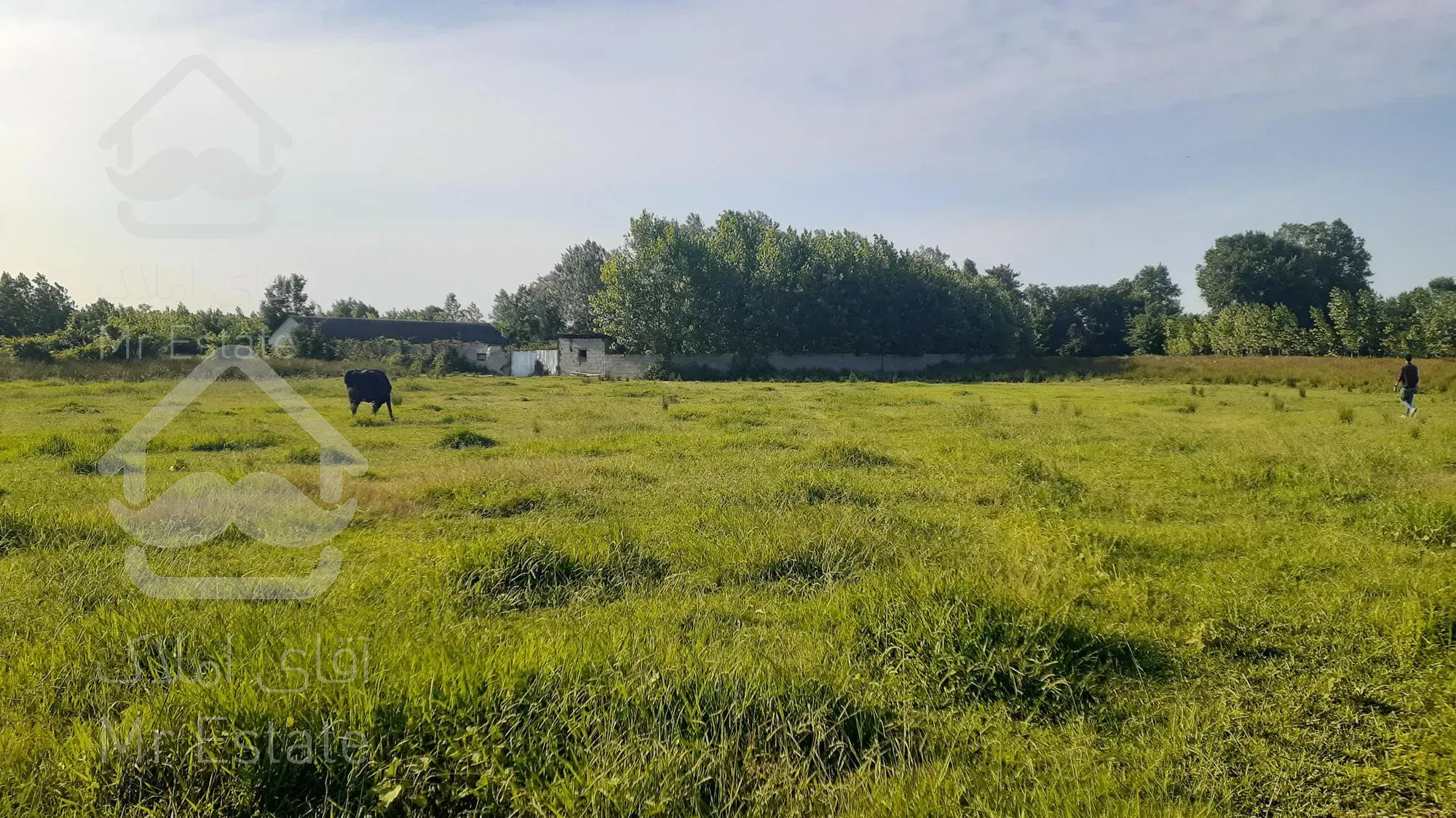 زمین باغات 538 متری