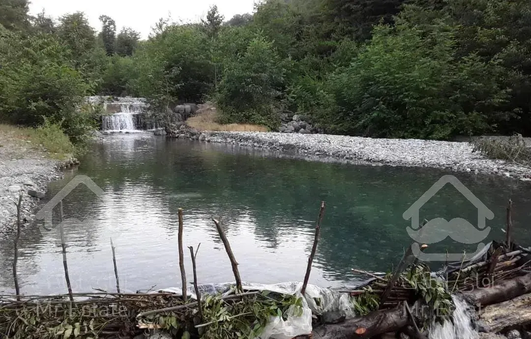 سوئیت‌کنار‌جنگل