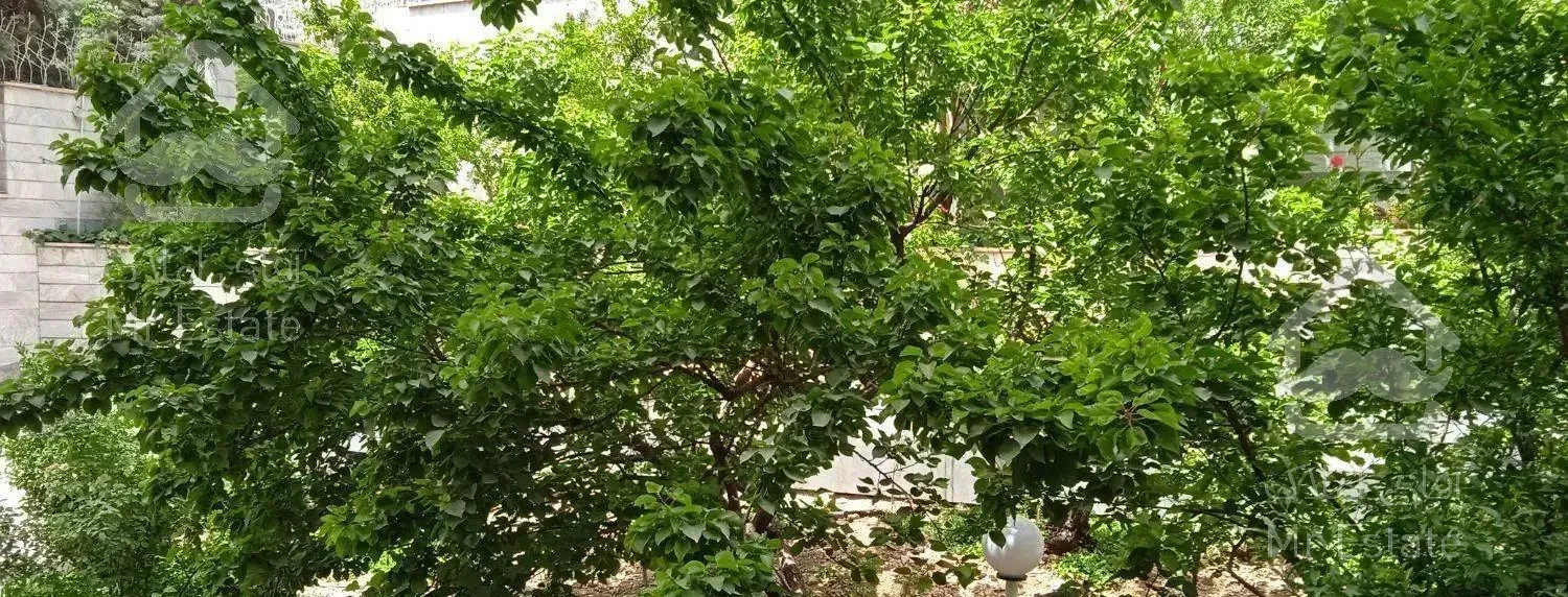 ۸۵متر،چسبیده به جنگل لویزان،دنج و آرام