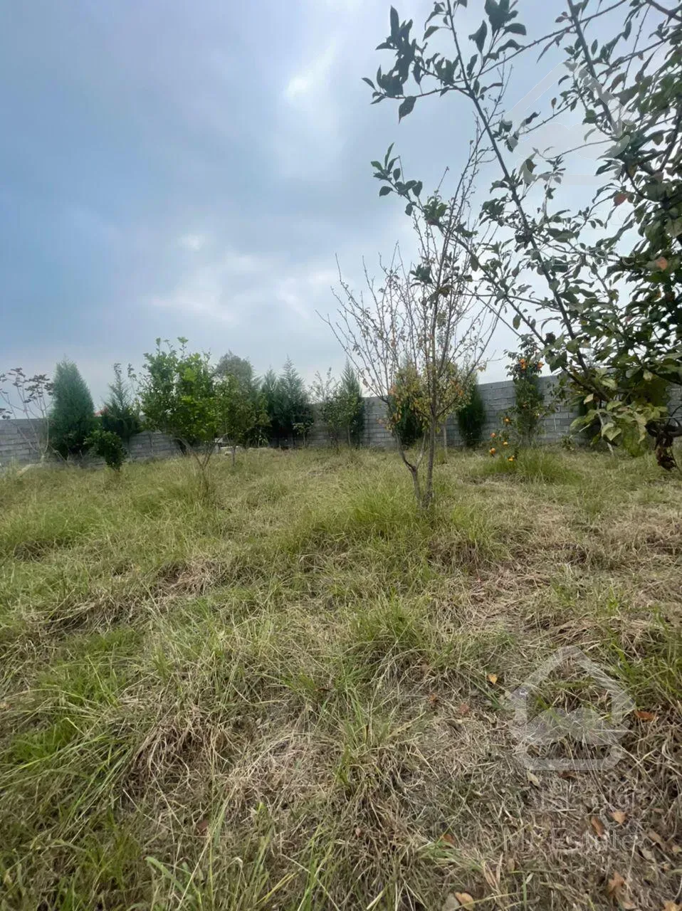 فروش فوری 300مترمربع باغ