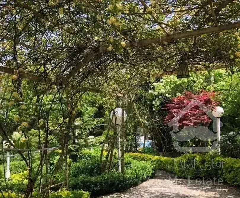 خرید ویلاباغ استثنایی پلاک یک جنگل جوربند