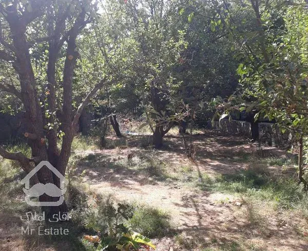 ۳۷۰ متر باغ قدیمی احمدآباد