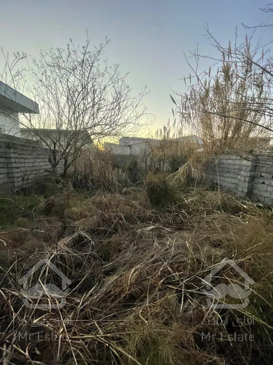 زمین کاملا"غیربومی ومحصور