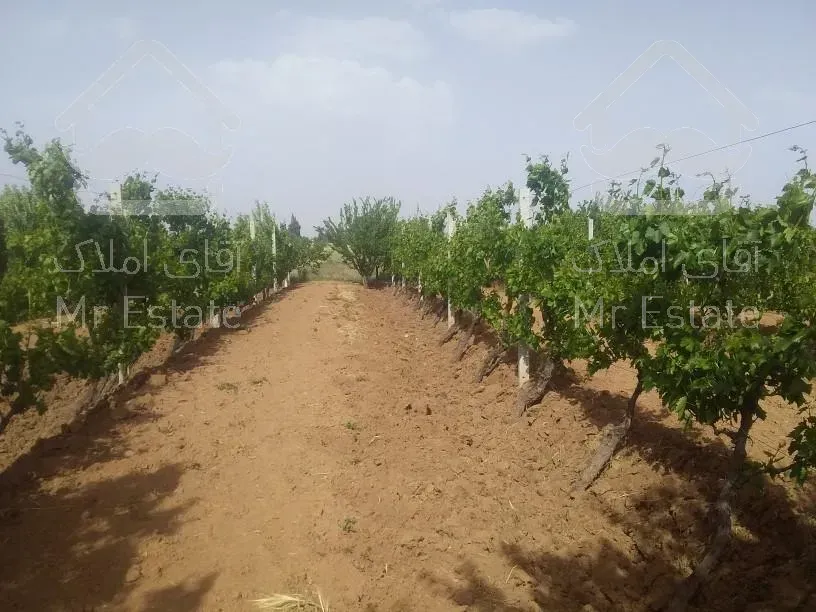 ملک تجاری مسکونی