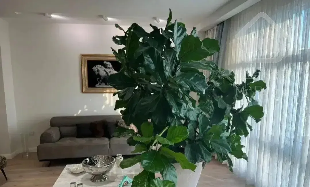 اقدسیه/گلزار143 متر 3 خواب مستر (فول نوسازی)