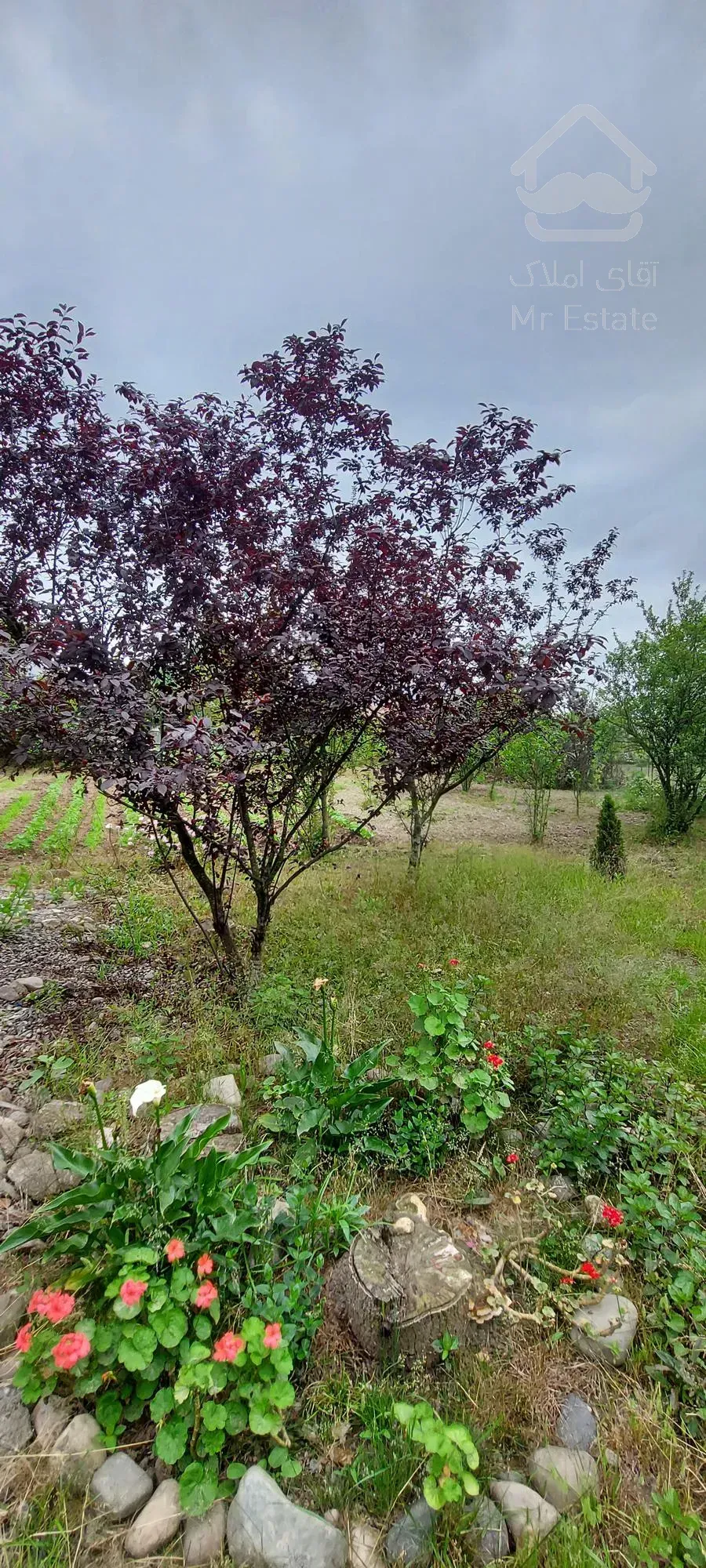 180متر ویلا داخل 3000 متر باغ فروش فوری