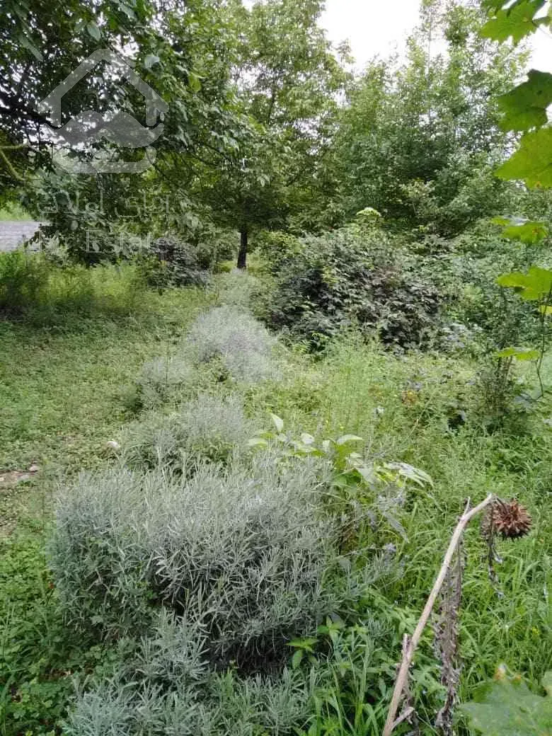 فروش اوکازیون باغ با همه امکانات برق . آب . گاز شهری . تلفن . در منطقه ای فوق العاده آرام 