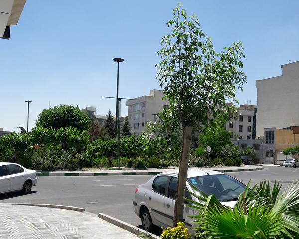 ۸۵متر مرزداران رهن کامل