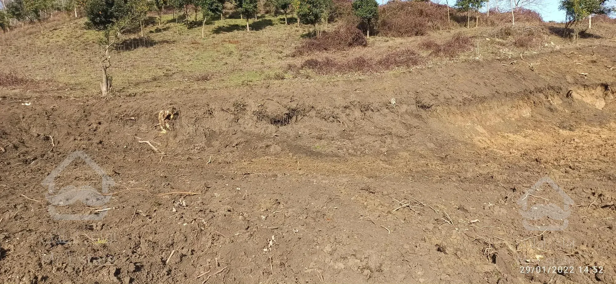 زمین لنگرود