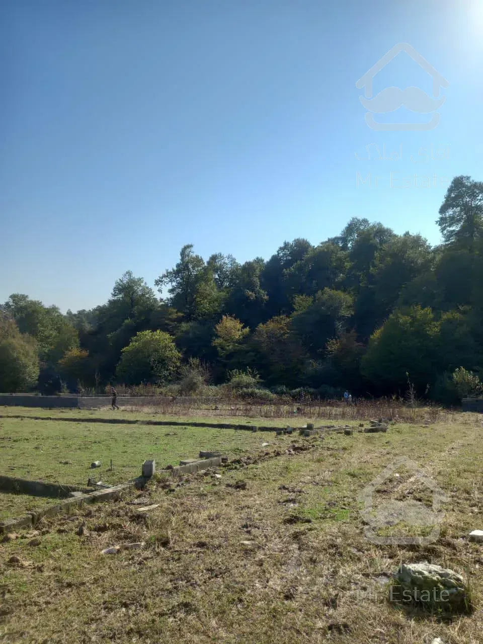 زمين قواره يك جنگل،تو شهركى،سنددارد،مناسب سرمايه گزارى