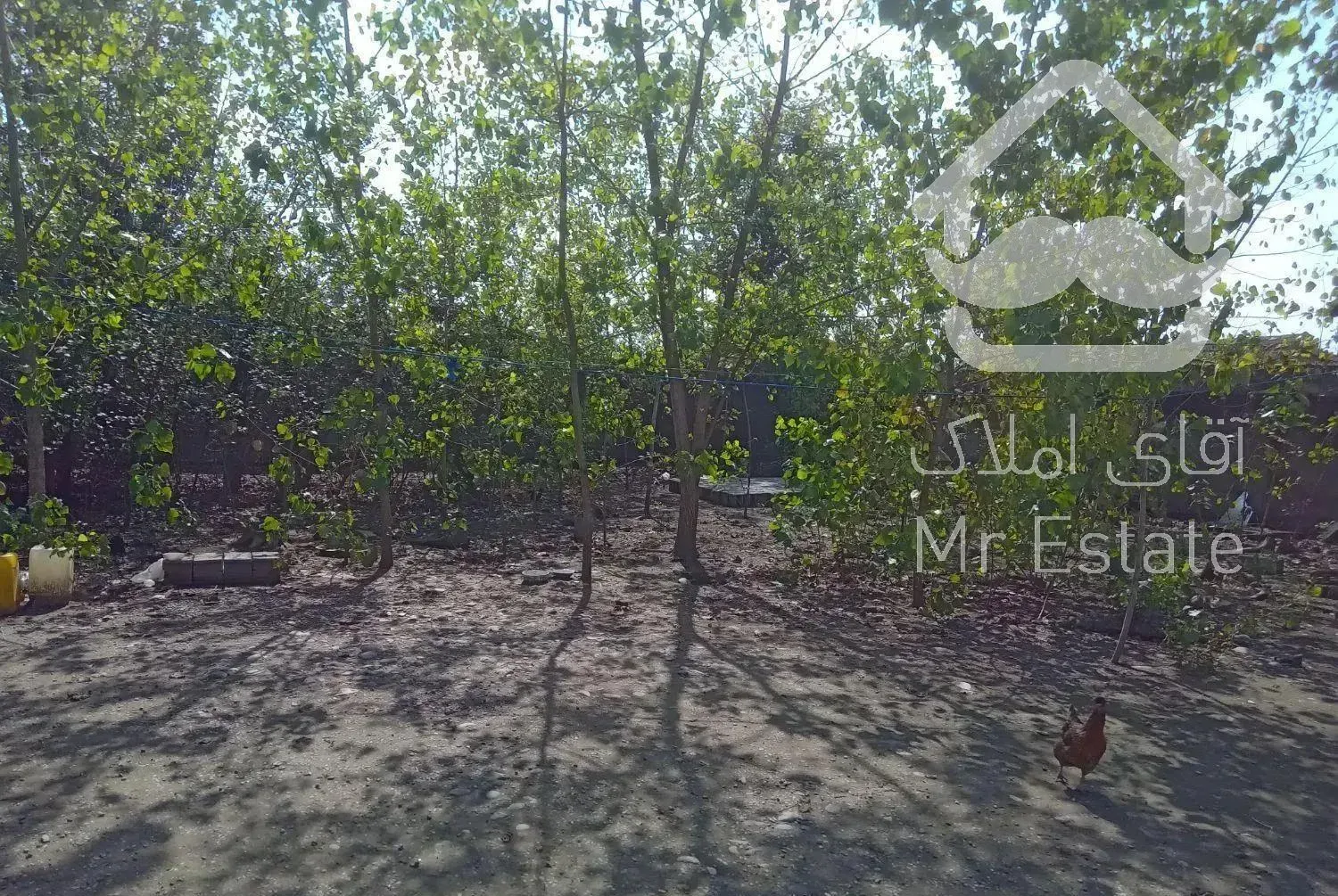 اجاره ویلا باغ خانوادگی