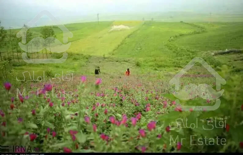 زمین هکتاری همراه2هکتارطرح هادی گیلان