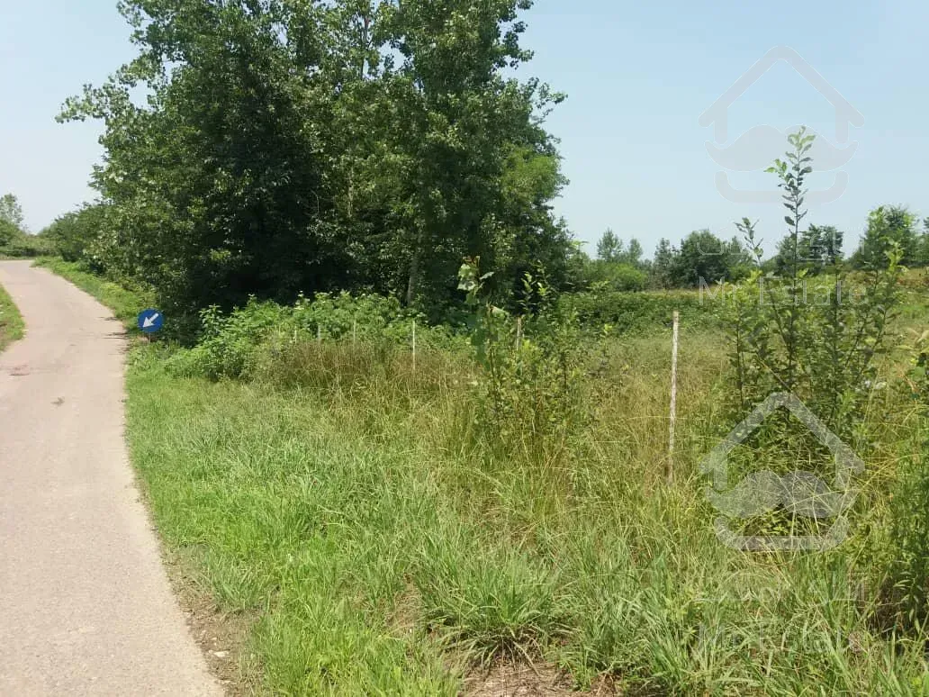 فروش ویلا رامسر در ۷۰۰۰متر زمین