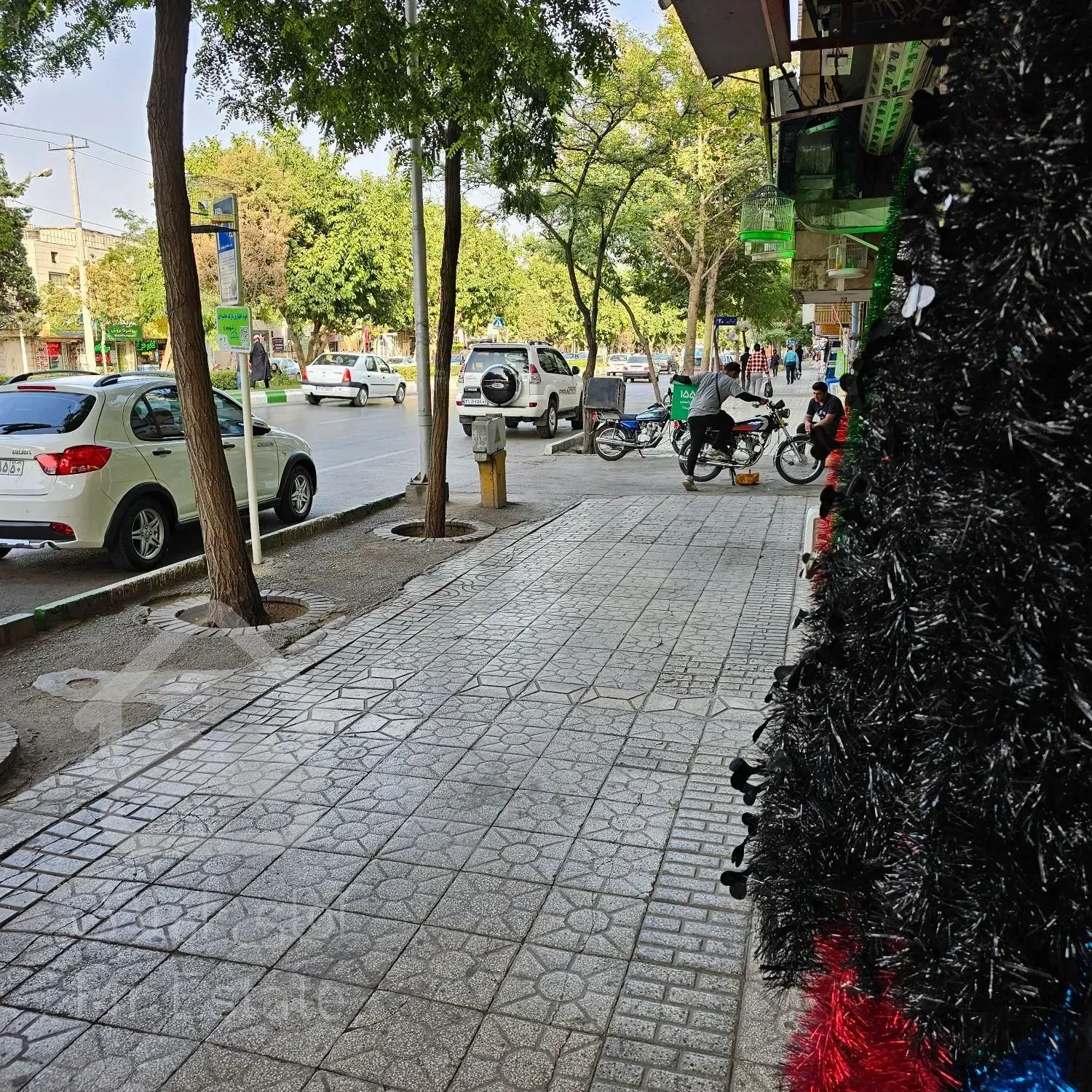 اجاره مغازه 15 متری حاشیه اصلی خیابان دستغیب