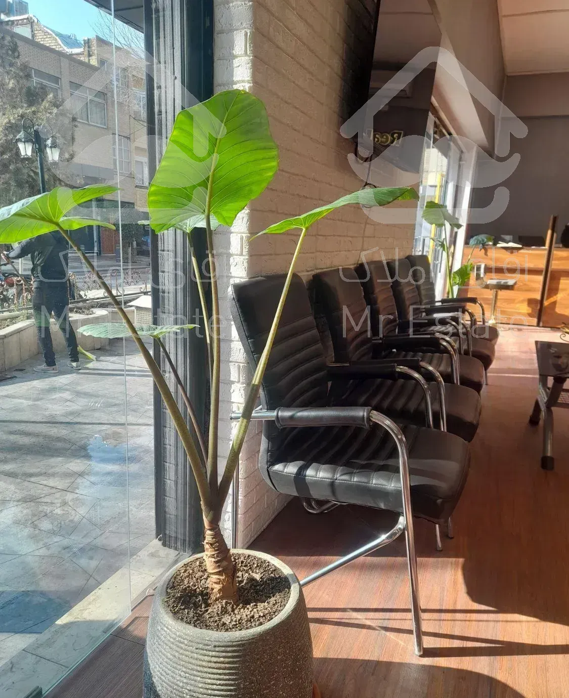 آپارتمان ۱۲۰ متری حیاط اختصاصی