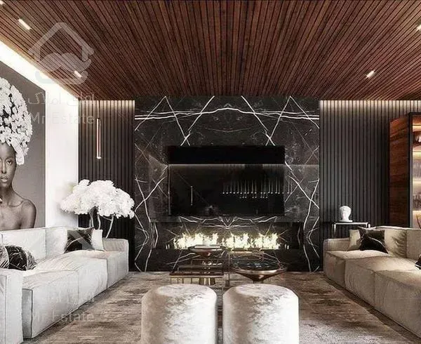 ۲۵۰متر/فاخر/نوساز/ویوابدی/بوستان