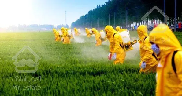 سمپاشی موریانه و انواع حشرات بامجوز بهداشت