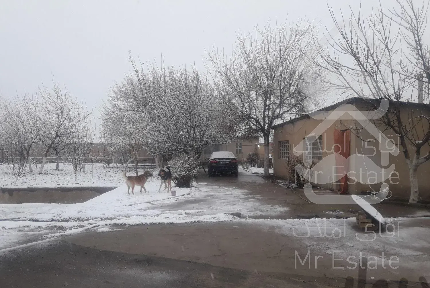 سرایدار ونگهبان