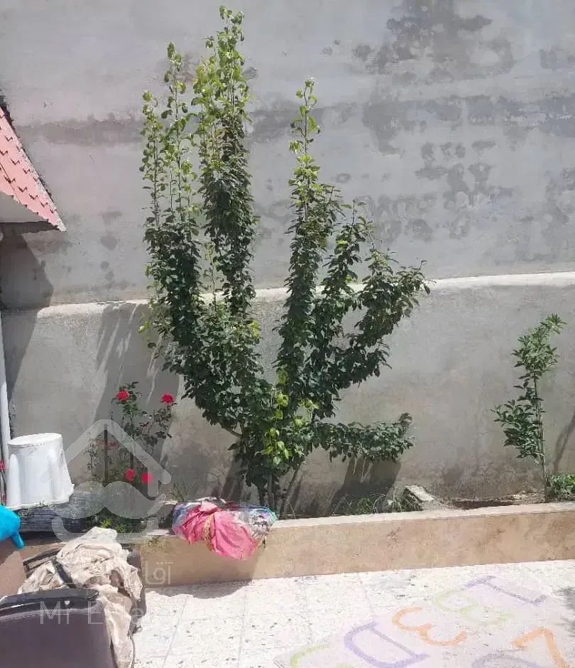 اجاره همکف با قیمت مناسب