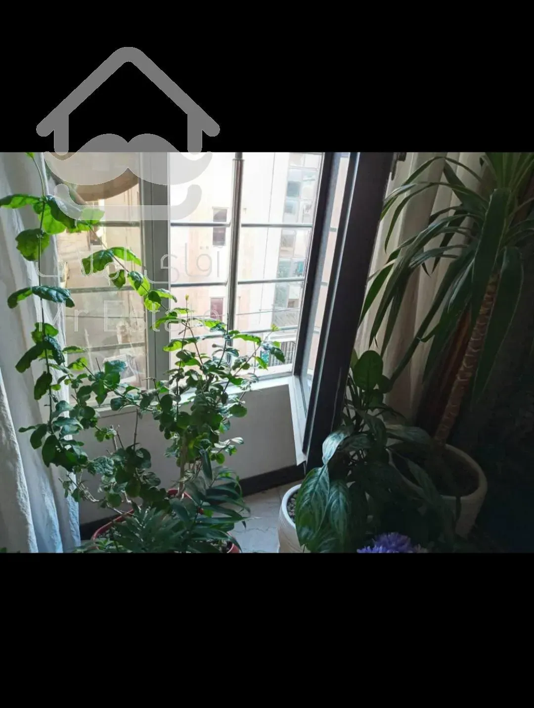 ۵۷متر،بی نظیر در پونک