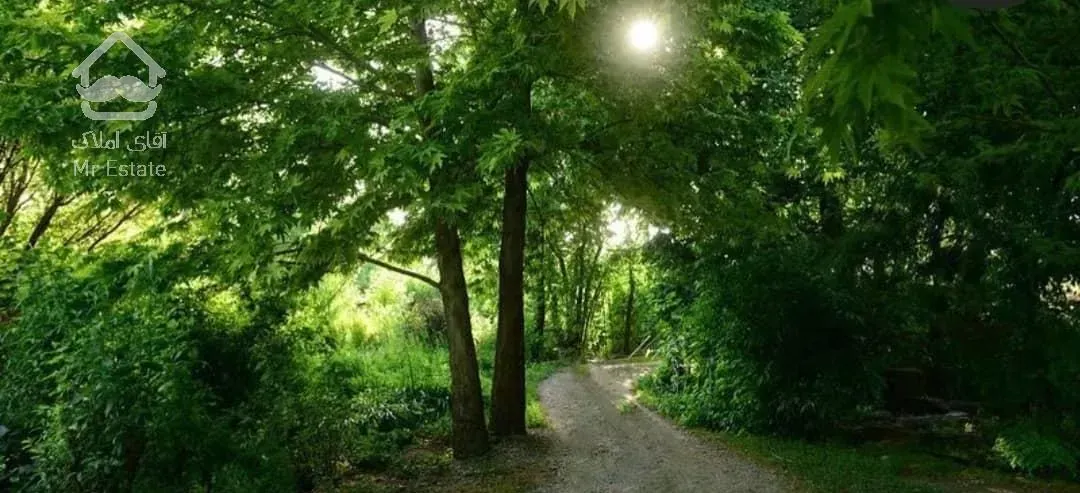 کاخ ویلا۳۵۰۰۰متری، استخردار