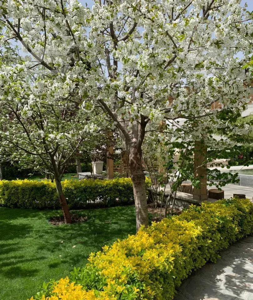 ۳۰۰ متر ۴خواب۲۰۰ متر تراس (پنت هاوس)