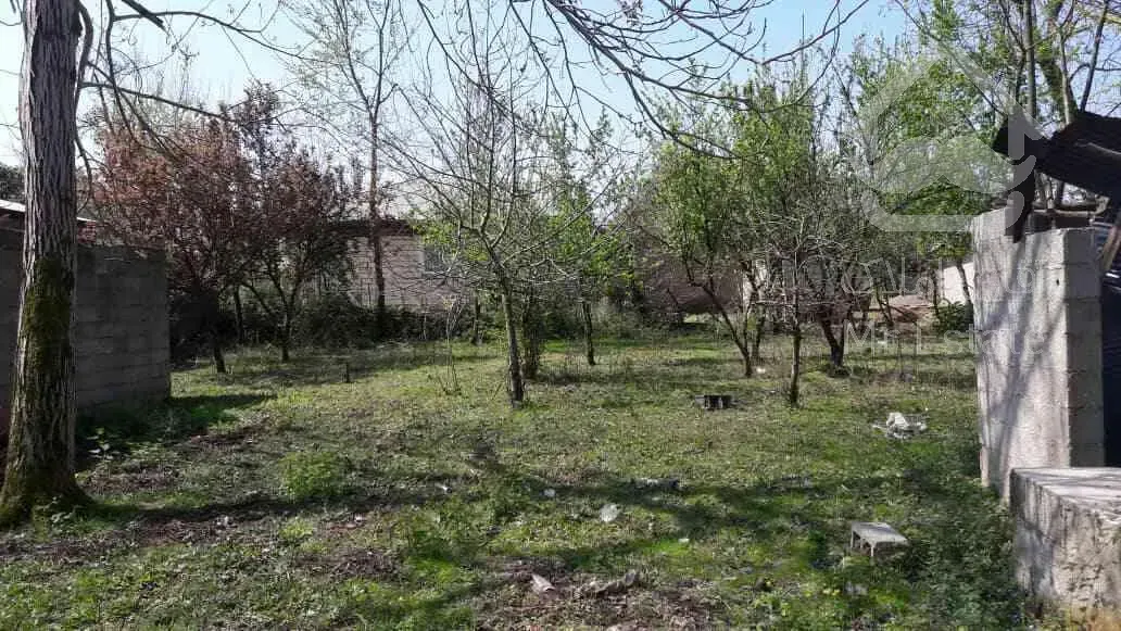 زمین در گیلان با درختان میوه