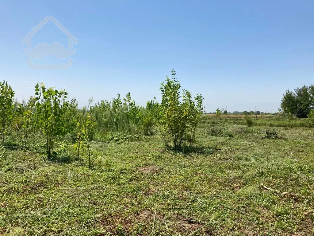 فروش زمین ۱۵۱۰متری در فاصله ی ۱۰دقیقه ی رشت