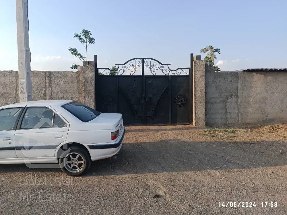 باغچه چسب اسب دوانی