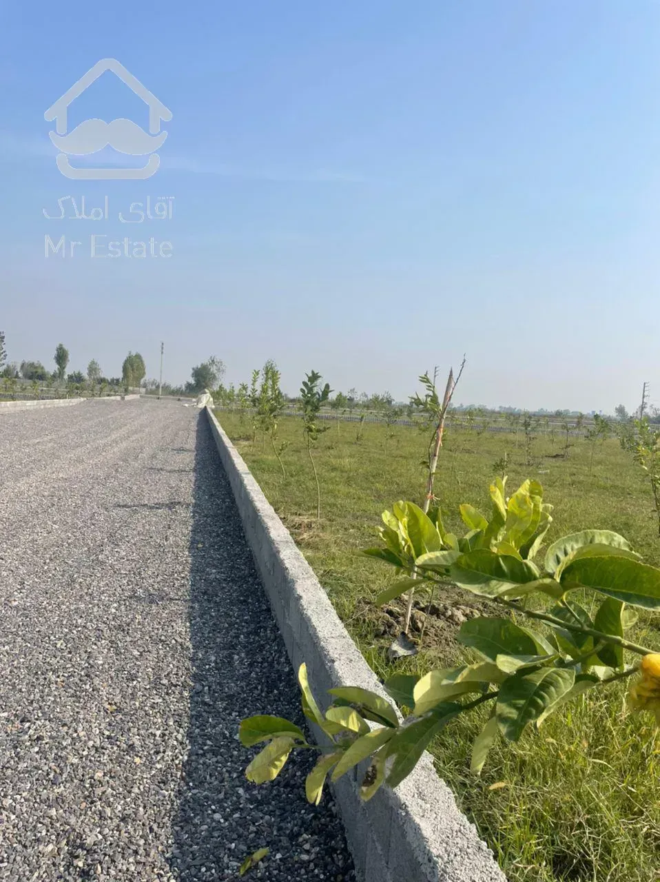 ۷۰۰مترباغ نهال شهرکی