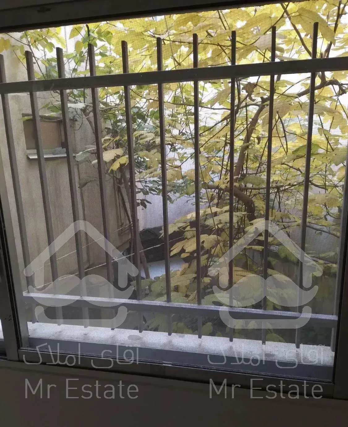 عباس آباد - بخارست ۲۶۰ متر ( حیاط اختصاصی )