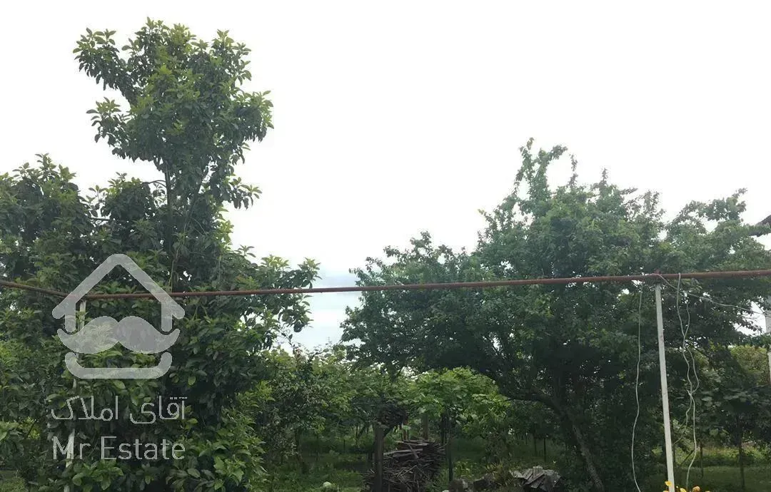 ویلا باغ 13هزار متر سند تک برگ شش دانگ