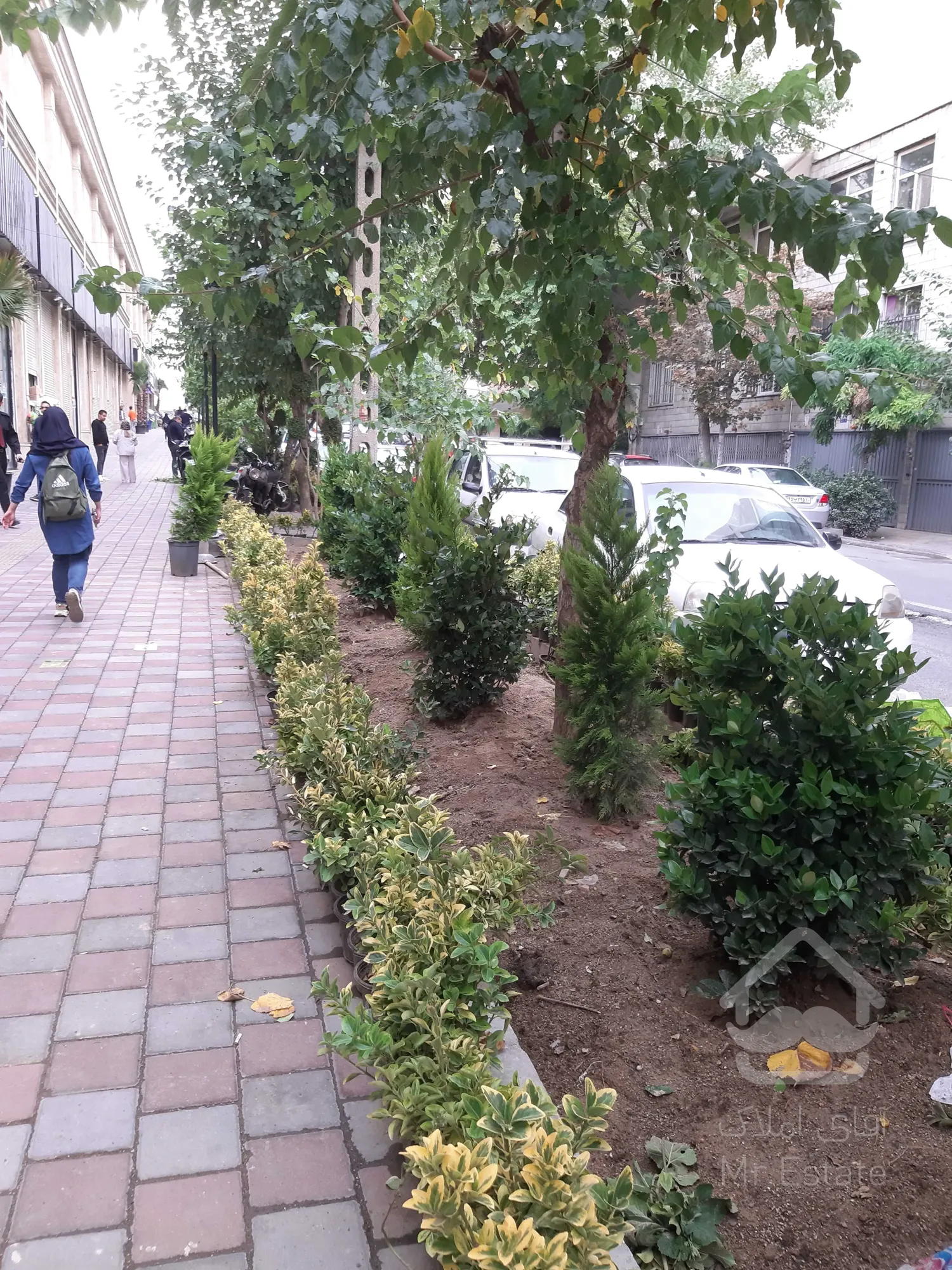 اجاره واحد تجاری در هروی