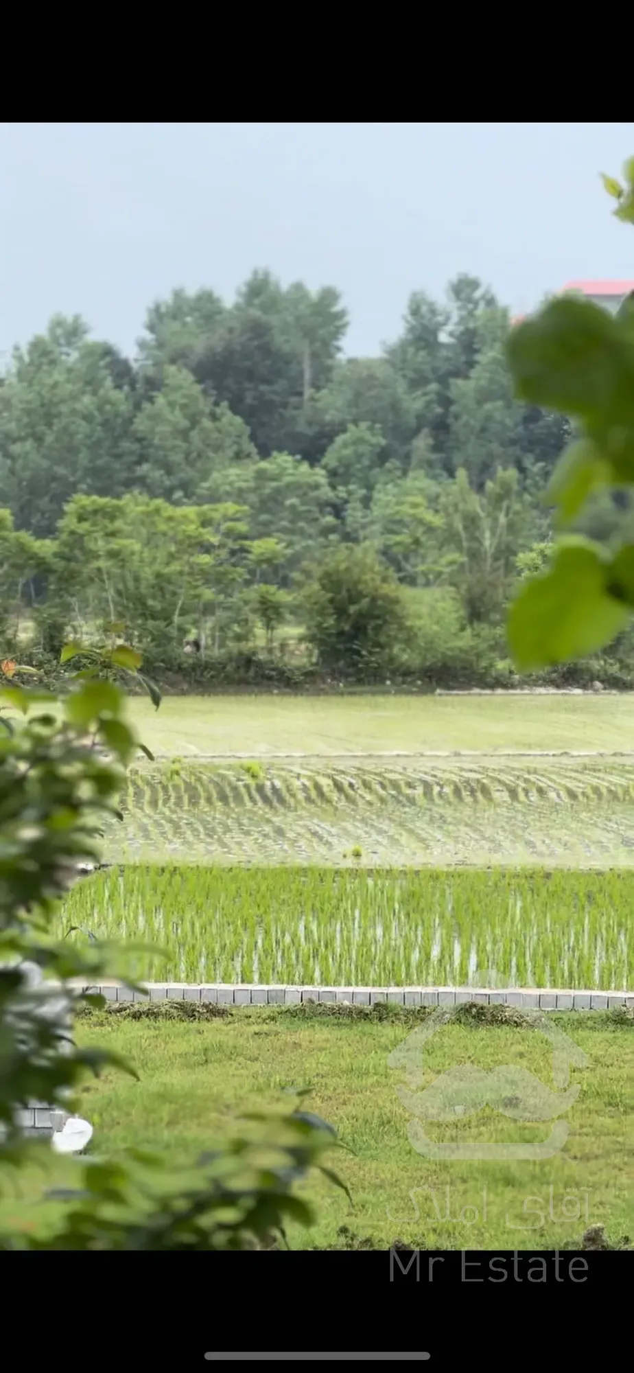 زمین جنگلی شمال با انشعابات نصب