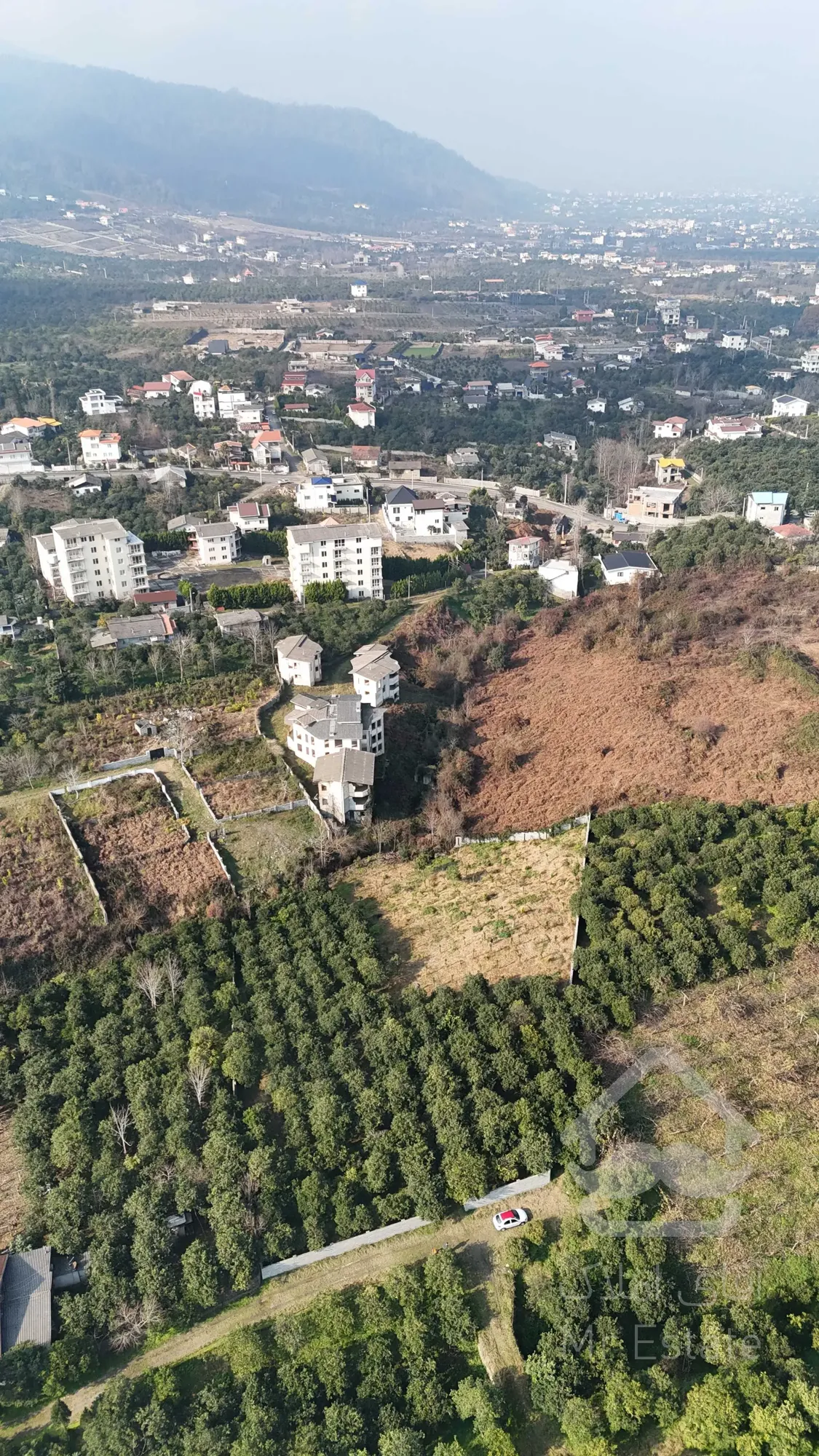 فروش زمین ۴۰۰۰ متری باغ مرکبات تنکابن