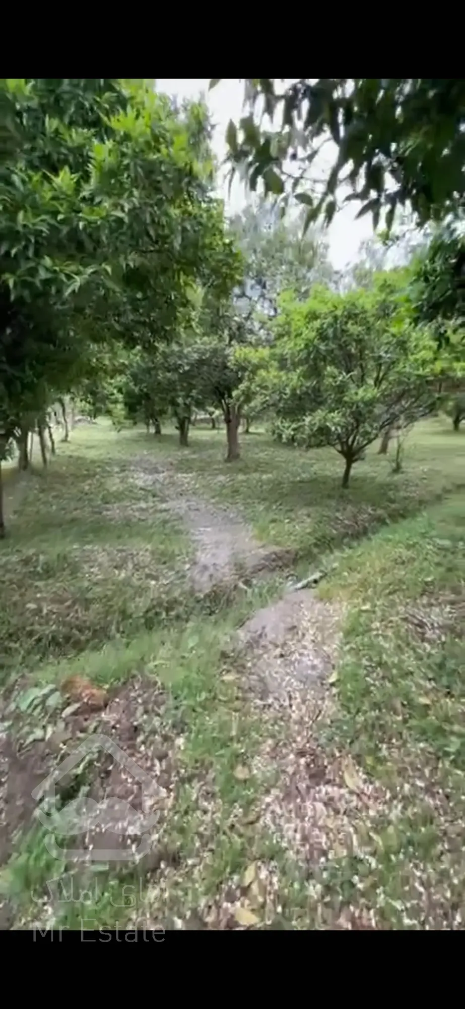 زمین ۴۵۰۰ متر بهترین لوکیشن تنکابن