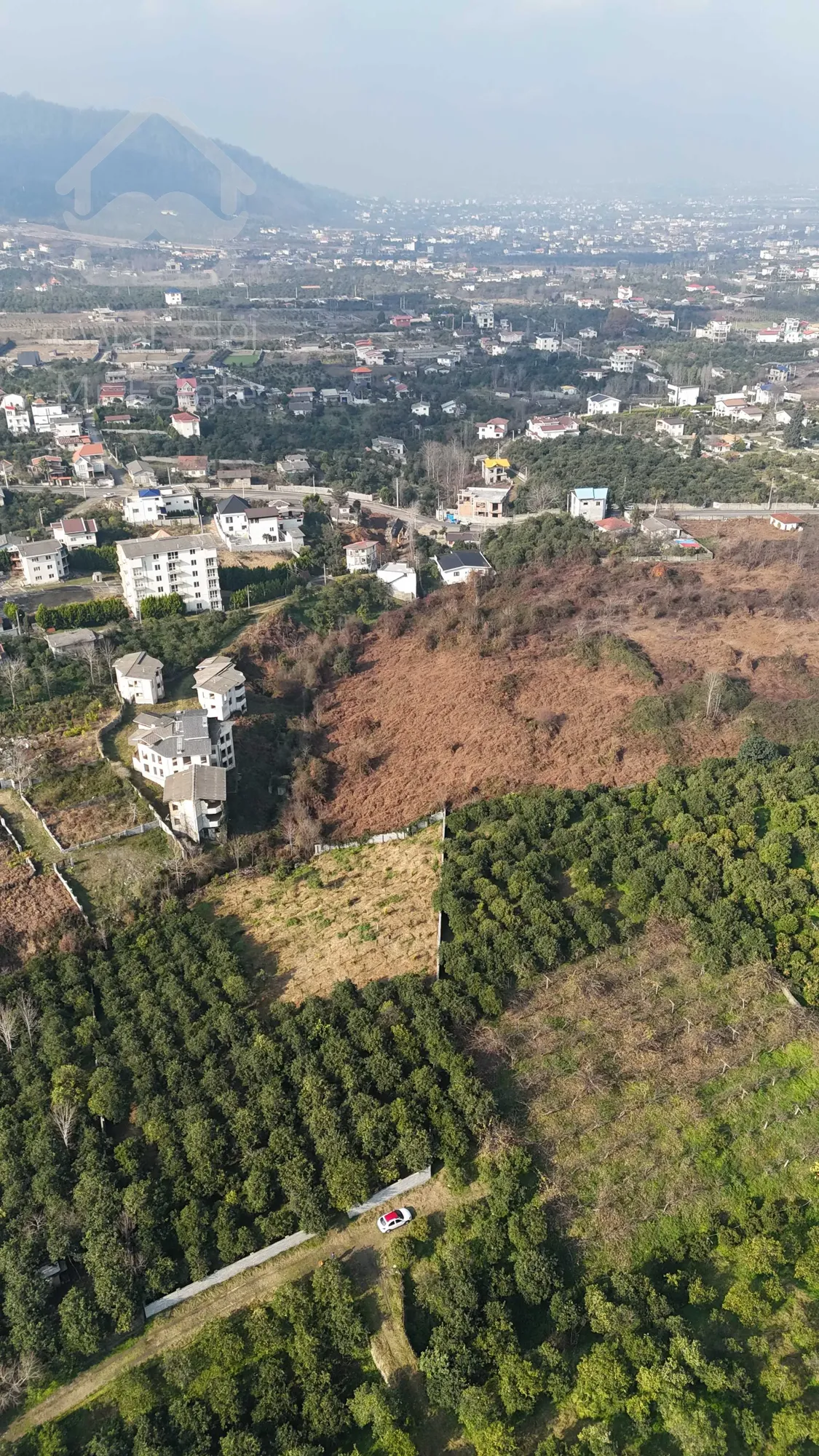 فروش زمین ۴۰۰۰ متری باغ مرکبات تنکابن