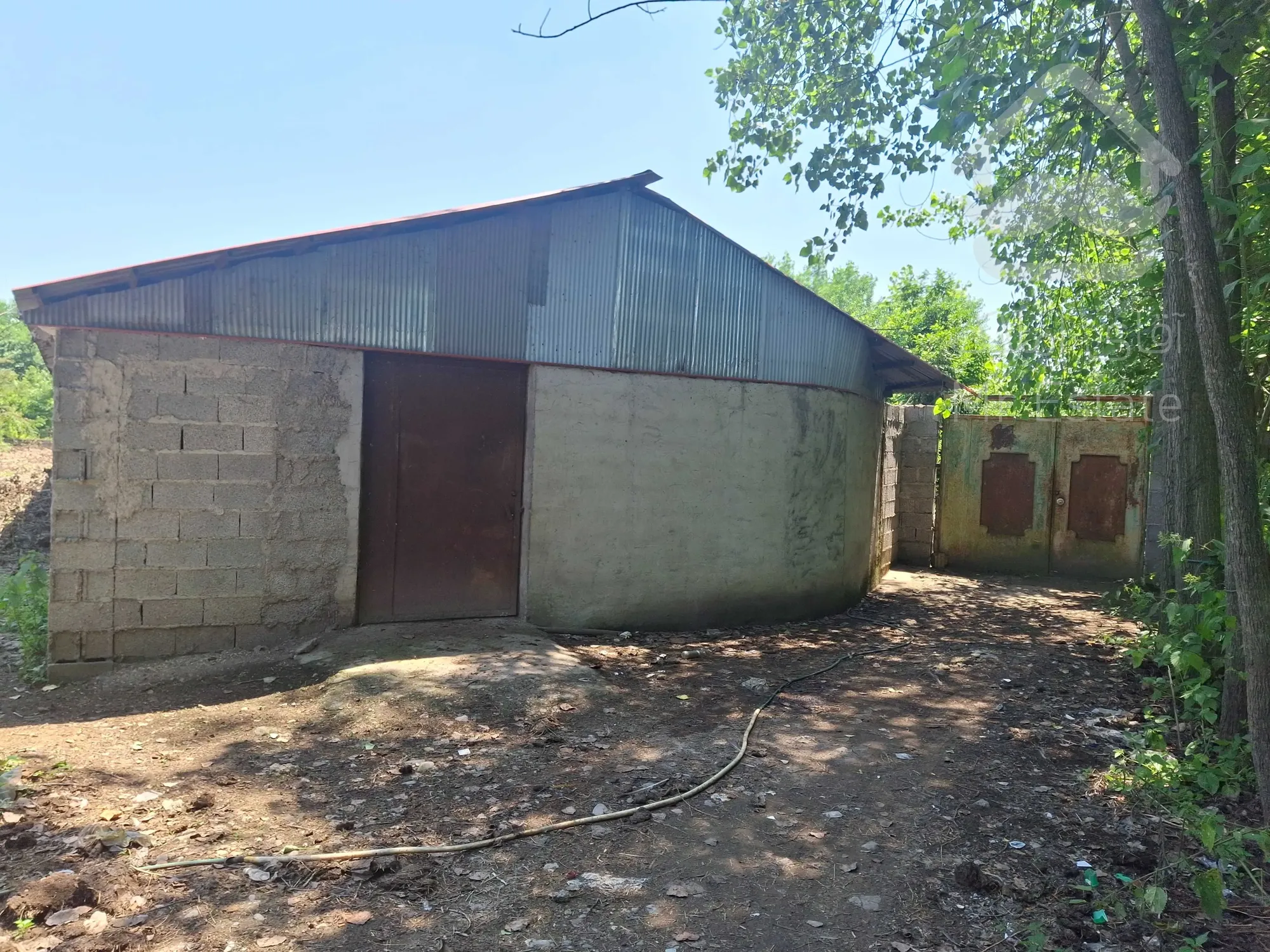 فروش زمین ۱۰۰۰ متری سند دار با خانه و گاوداری