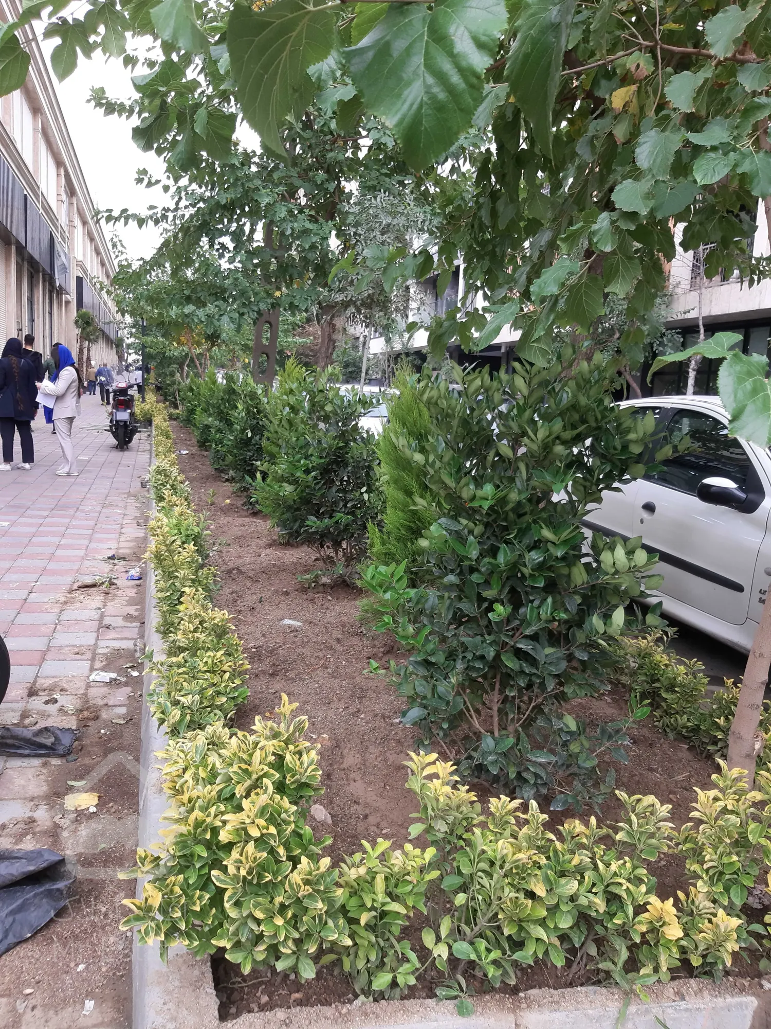 اجاره مغازه 25 متر در رونیکا مال پاسداران