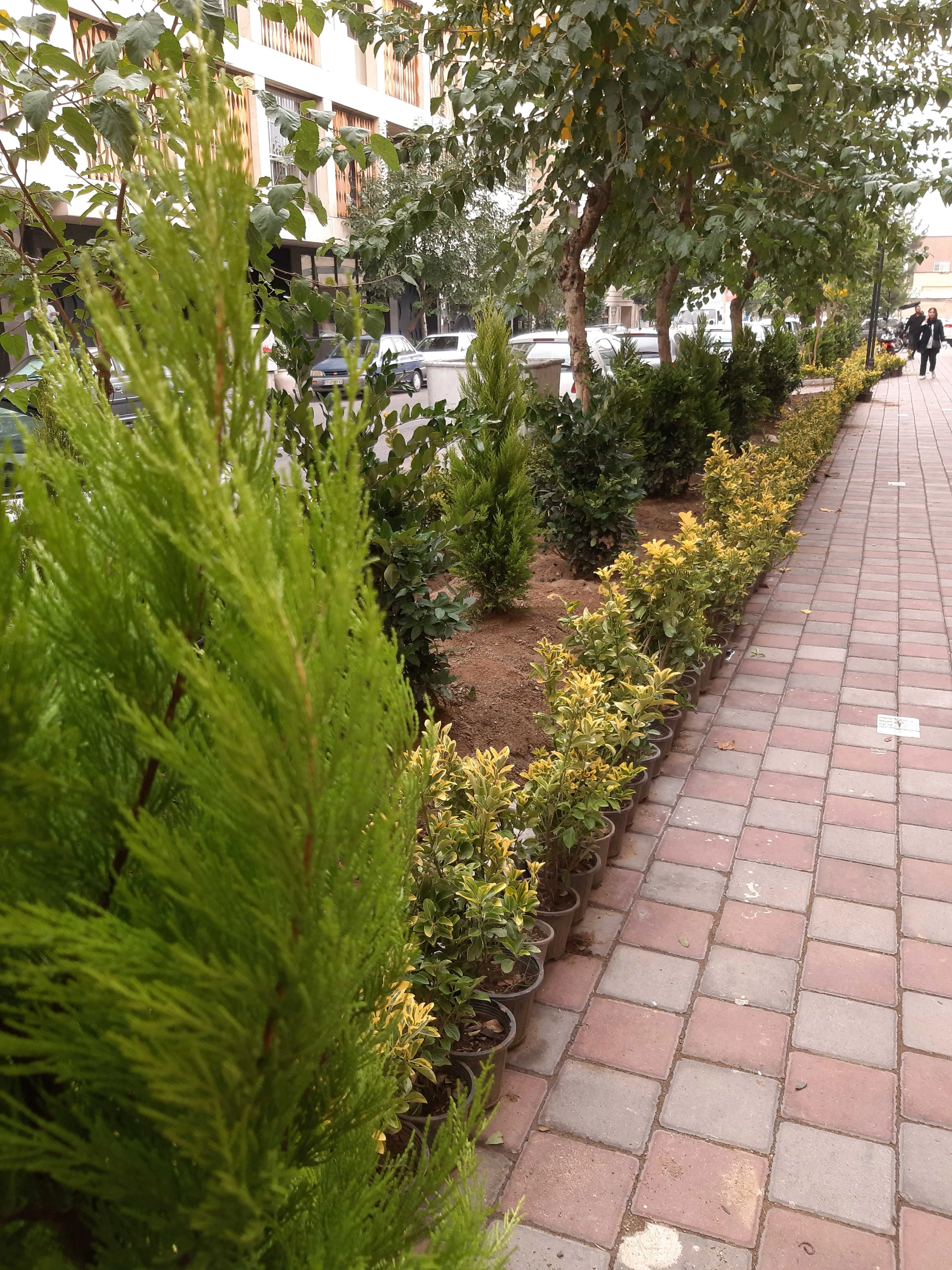 فروش مغازه در رونیکا مال هروی