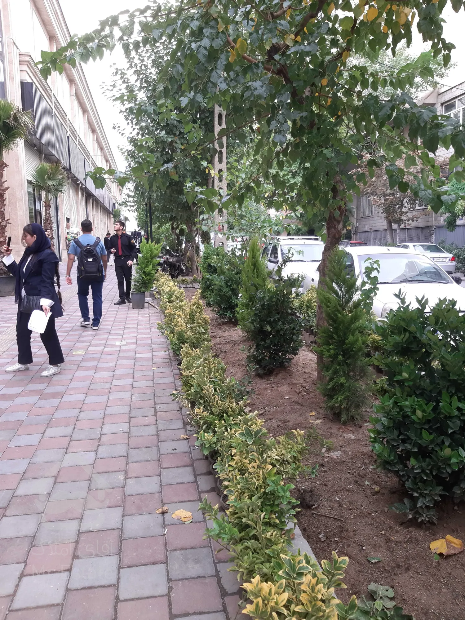 فروش مغازه در رونیکا مال پاسداران با شرایط بی تکرار و زیرقیمت بازار